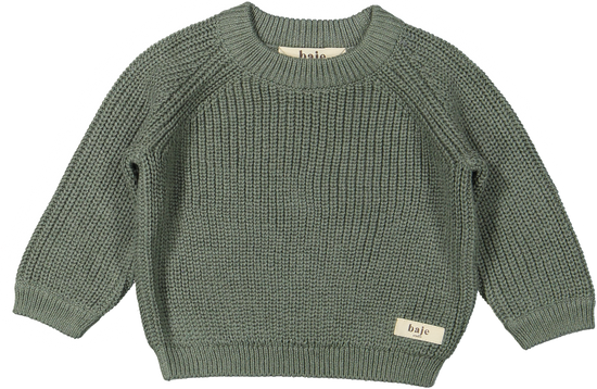 Cove sweater newborn | green