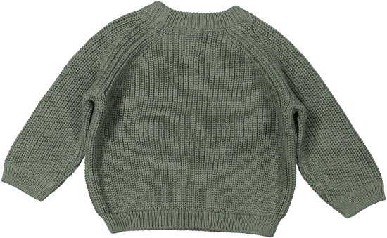 Cove sweater newborn | green